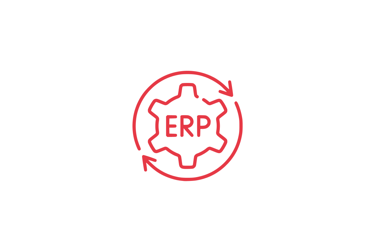 ERP Consulting